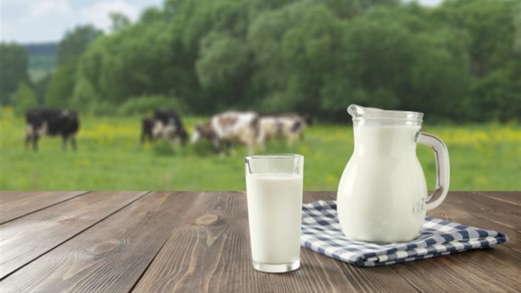 Чому скисає молоко?