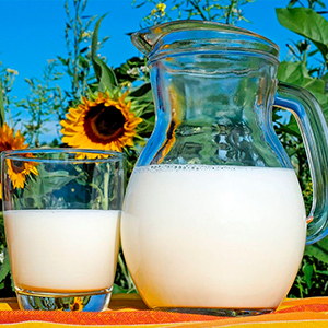 Чому скисає молоко? Як довше зберегти молоко свіжим?