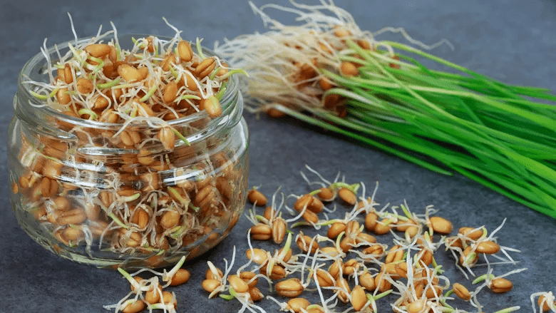 Паростки пшениці