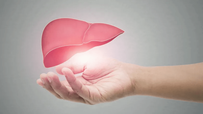 Аполіпопротеїн В: чому цей маркер точніше передбачає ризик серцево-судинних захворювань, ніж холестерин