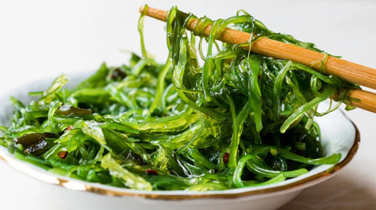 Користь водоростей вакаме та салату чука: чому морська зелень потрібна вашому організму